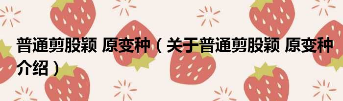 普通剪股颖 原变种 关于普通剪股颖 原变种介绍