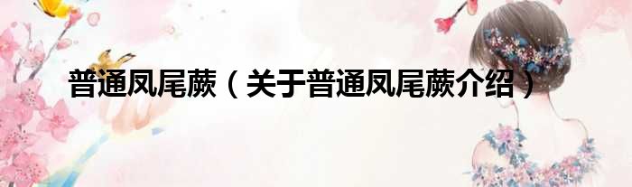 普通凤尾蕨 关于普通凤尾蕨介绍