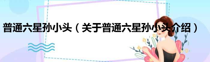 普通六星孙小头 关于普通六星孙小头介绍
