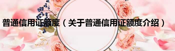 普通信用证额度 关于普通信用证额度介绍