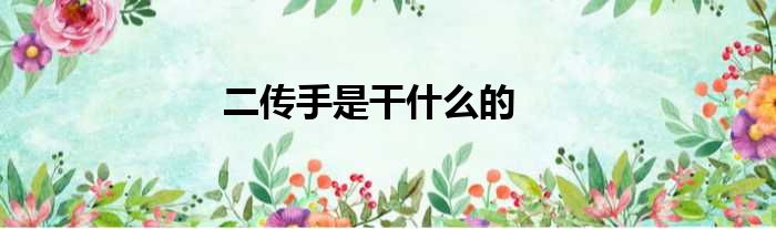 二传手是干什么的