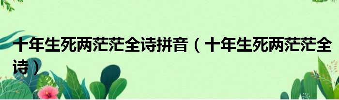 十年生死两茫茫全诗拼音 十年生死两茫茫全诗