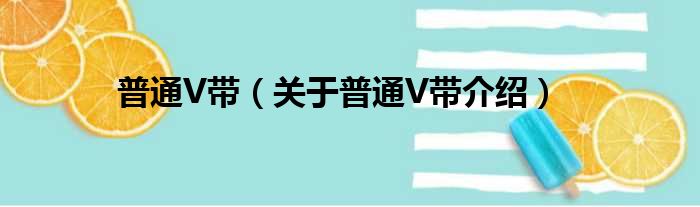 普通V带 关于普通V带介绍