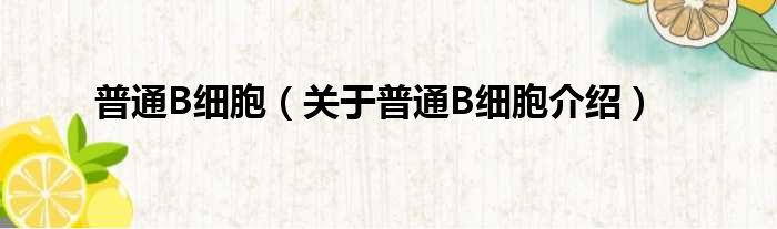 普通B细胞 关于普通B细胞介绍