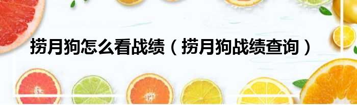 捞月狗怎么看战绩 捞月狗战绩查询