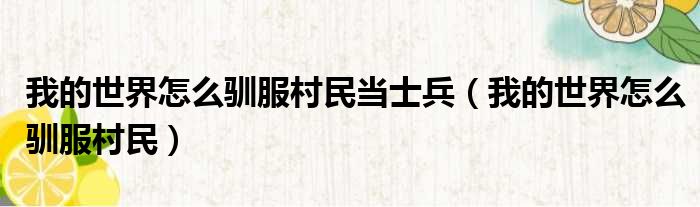 我的世界怎么驯服村民当士兵 我的世界怎么驯服村民