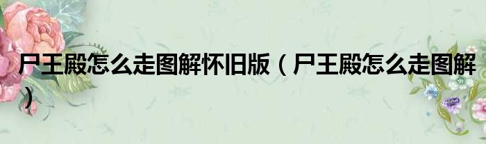 尸王殿怎么走图解怀旧版 尸王殿怎么走图解