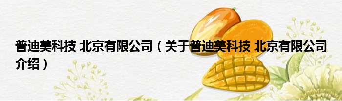 普迪美科技 北京有限公司 关于普迪美科技 北京有限公司介绍