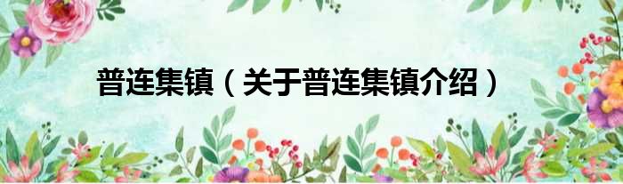 普连集镇 关于普连集镇介绍