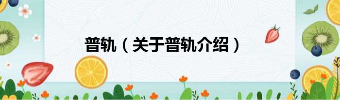 普轨 关于普轨介绍