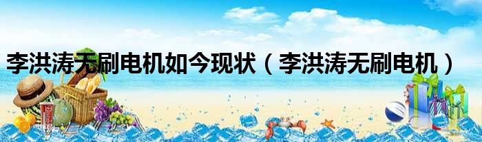 李洪涛无刷电机如今现状 李洪涛无刷电机