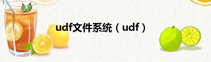 udf文件系统 udf
