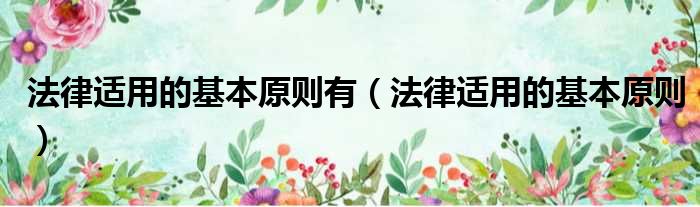 法律适用的基本原则有 法律适用的基本原则