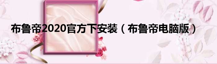 布鲁帝2020官方下安装 布鲁帝电脑版