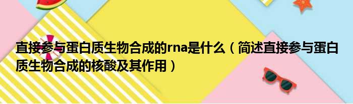 直接参与蛋白质生物合成的rna是什么 简述直接参与蛋白质生物合成的核酸及其作用