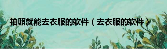 拍照就能去衣服的软件 去衣服的软件