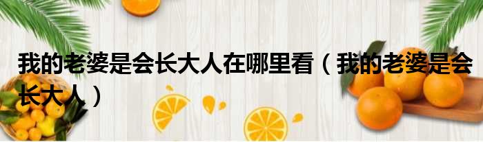 我的老婆是会长大人在哪里看 我的老婆是会长大人