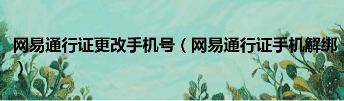 网易通行证更改手机号 网易通行证手机解绑