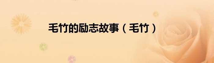 毛竹的励志故事 毛竹