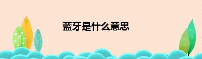 蓝牙是什么意思
