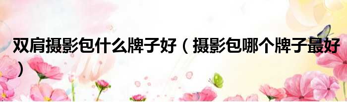 双肩摄影包什么牌子好 摄影包哪个牌子最好