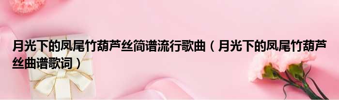 月光下的凤尾竹葫芦丝简谱流行歌曲 月光下的凤尾竹葫芦丝曲谱歌词
