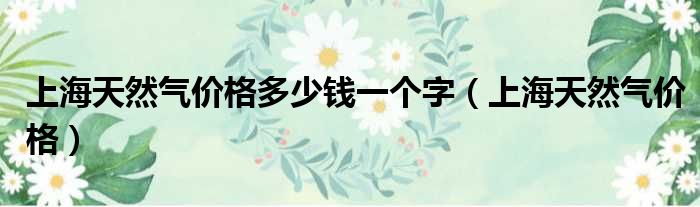 上海天然气价格多少钱一个字 上海天然气价格