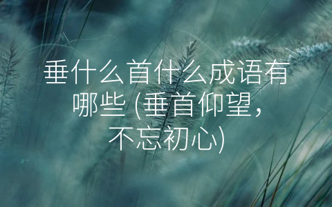 垂什么首什么成语有哪些 (垂首仰望，不忘初心)