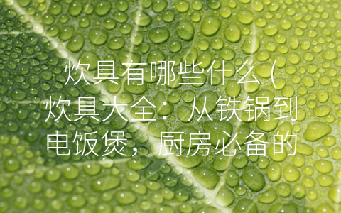 炊具有哪些什么 (炊具大全：从铁锅到电饭煲，厨房必备的多样-工具”)