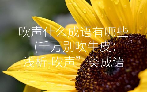 吹声什么成语有哪些 (千万别吹牛皮：浅析-吹声”类成语的运用及教育意义)