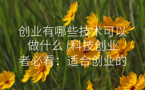 创业有哪些技术可以做什么 (科技创业者必看：适合创业的四种技术)