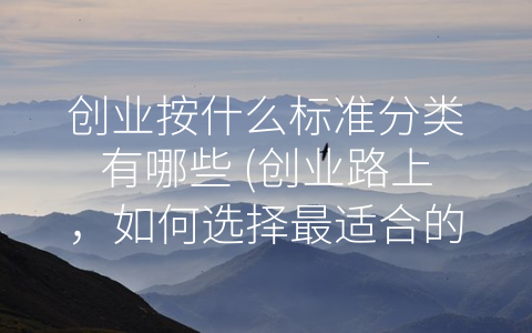 创业按什么标准分类有哪些 (创业路上，如何选择最适合的分类标准？)