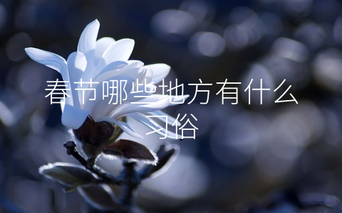 春节哪些地方有什么习俗