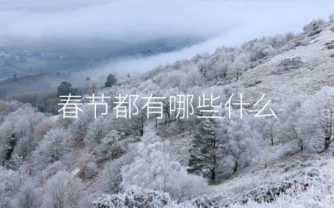 春节都有哪些什么