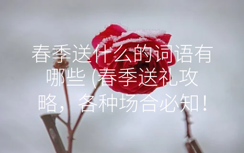 春季送什么的词语有哪些 (春季送礼攻略，各种场合必知！)