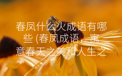 春凤什么火成语有哪些 (春凤成语，寓意春天之美和人生之顺遂)