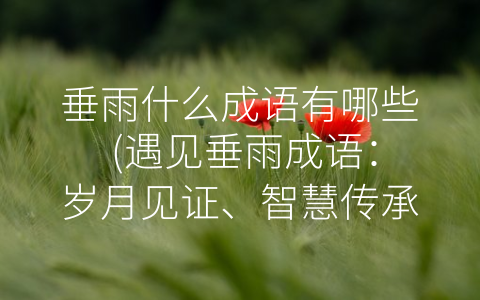 垂雨什么成语有哪些 (遇见垂雨成语：岁月见证、智慧传承)