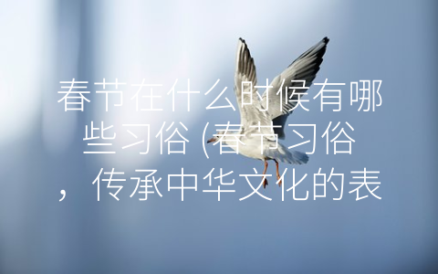 春节在什么时候有哪些习俗 (春节习俗，传承中华文化的表现)