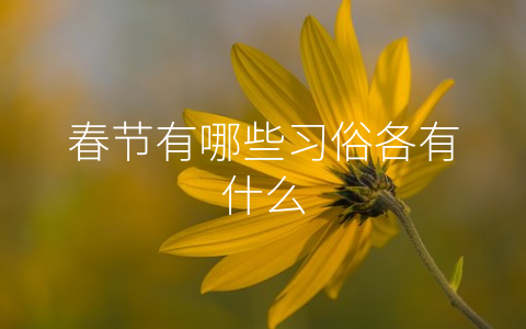 春节有哪些习俗各有什么