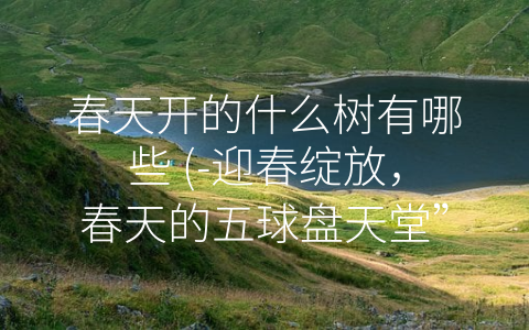 春天开的什么树有哪些 (-迎春绽放，春天的五球盘天堂”)