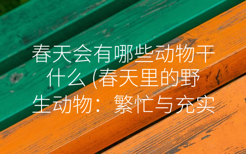 春天会有哪些动物干什么 (春天里的野生动物：繁忙与充实)
