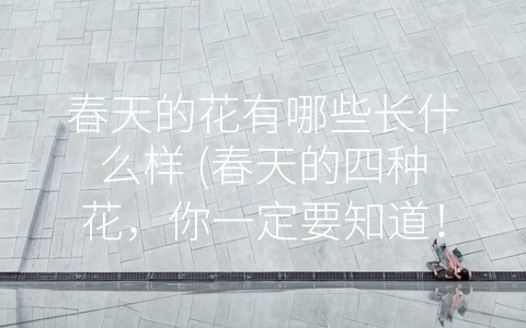 春天的花有哪些长什么样 (春天的四种花，你一定要知道！)
