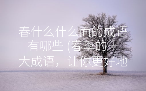 春什么什么面的成语有哪些 (春季的十大成语，让你更好地感受中国传统文化魅力。)