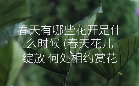 春天有哪些花开是什么时候 (春天花儿绽放 何处相约赏花行)