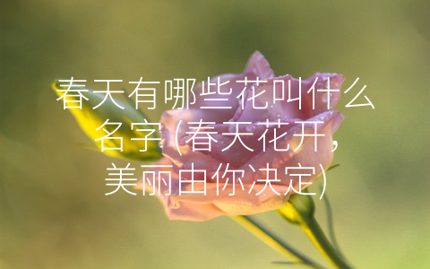 春天有哪些花叫什么名字 (春天花开，美丽由你决定)