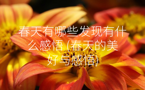 春天有哪些发现有什么感悟 (春天的美好与感悟)