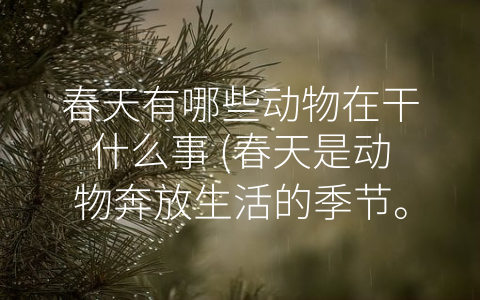 春天有哪些动物在干什么事 (春天是动物奔放生活的季节。)