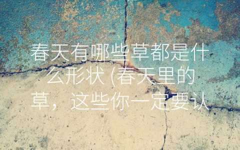 春天有哪些草都是什么形状 (春天里的草，这些你一定要认识)