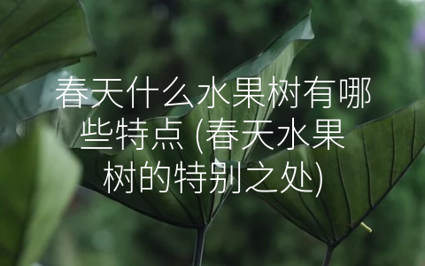 春天什么水果树有哪些特点 (春天水果树的特别之处)