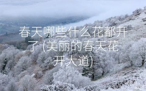 春天哪些什么花都开了 (美丽的春天花开大道)
